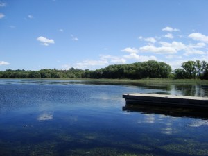 Lac du Rat-Musqué, près de Cobden Ont., 2012